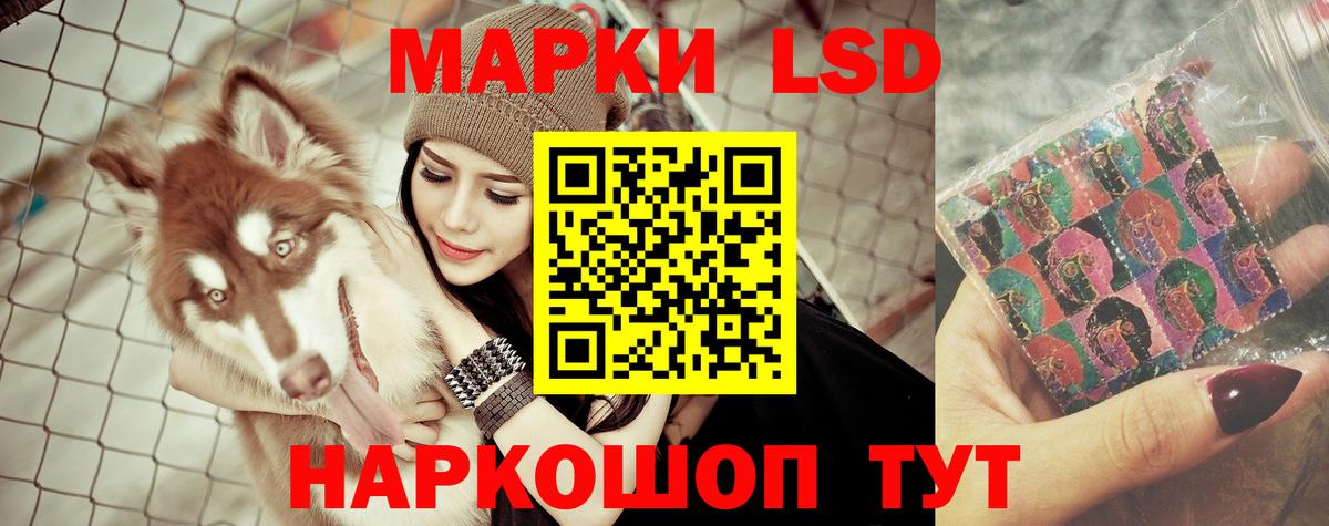 KRAKEN как зайти  Вход с VPN  Ижевск  LSD-25 экстази ecstasy 