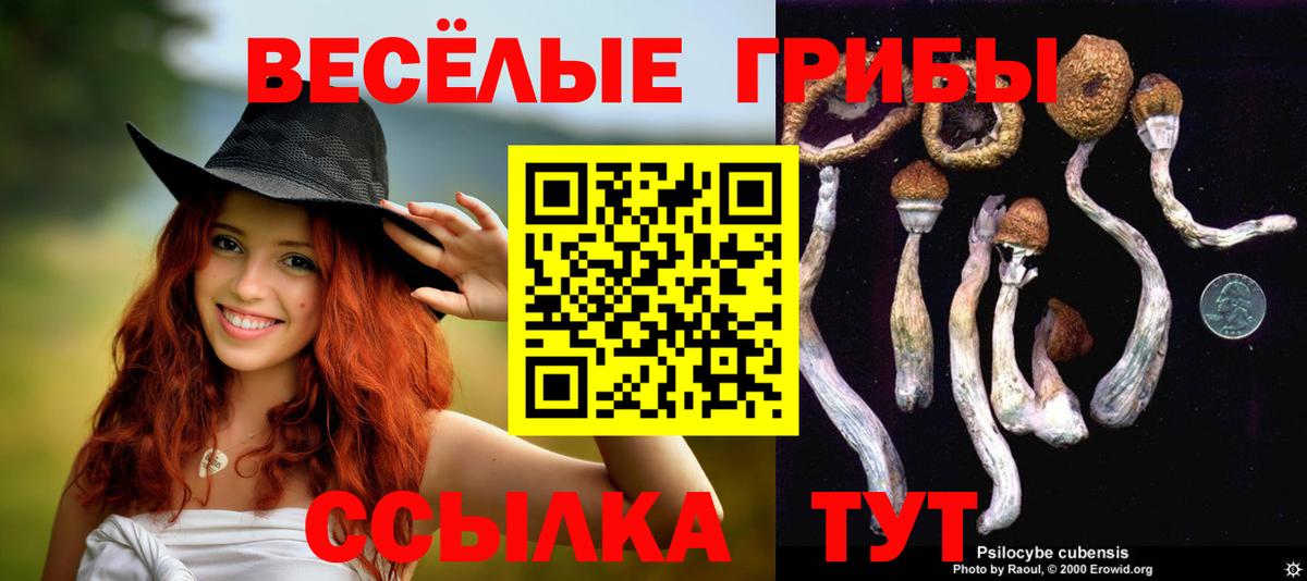 Псилоцибиновые грибы Magic Shrooms  Вход с VPN  Ижевск 